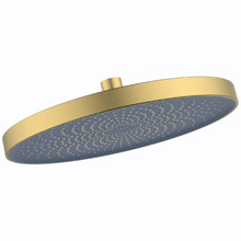 The Gabe 260mm Shower Head